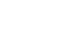 Alligator