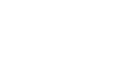 Chauve-souris