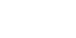 Ours noir américain
