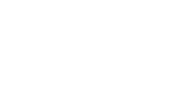 Mouflon du désert (femelle)