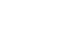 Mouflon des Rocheuses (femelle)