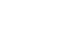 Bison américain
