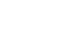 Poule Leghorn