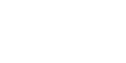 Foxhound américain