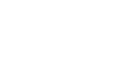 Pygargue à tête blanche