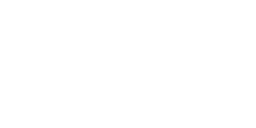 Wapiti des Rocheuses