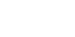 Renard gris