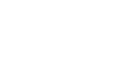 Oriole de Baltimore