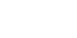 Pigeon à queue barrée