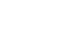 Pigeon biset