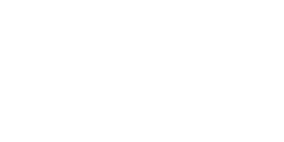Antilocapre (mâle)