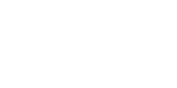 Lapin à queue blanche