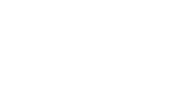 Tortue de mer
