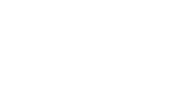 Mouette atricille