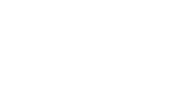 Loup gris